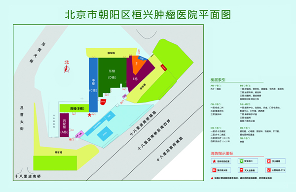 鸡巴和逼网页版本北京市朝阳区桓兴肿瘤医院平面图